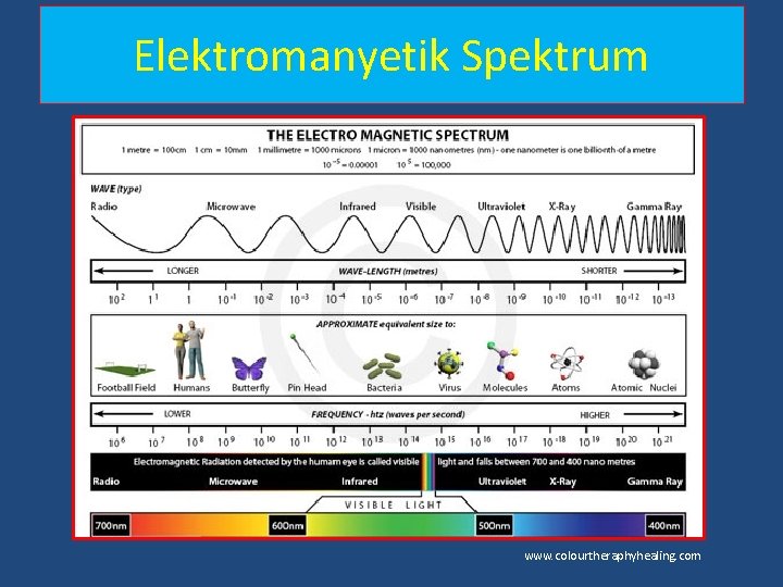 Elektromanyetik Spektrum www. colourtheraphyhealing. com Elektromanyetik Spektrum www. colourtheraphyhealing. com