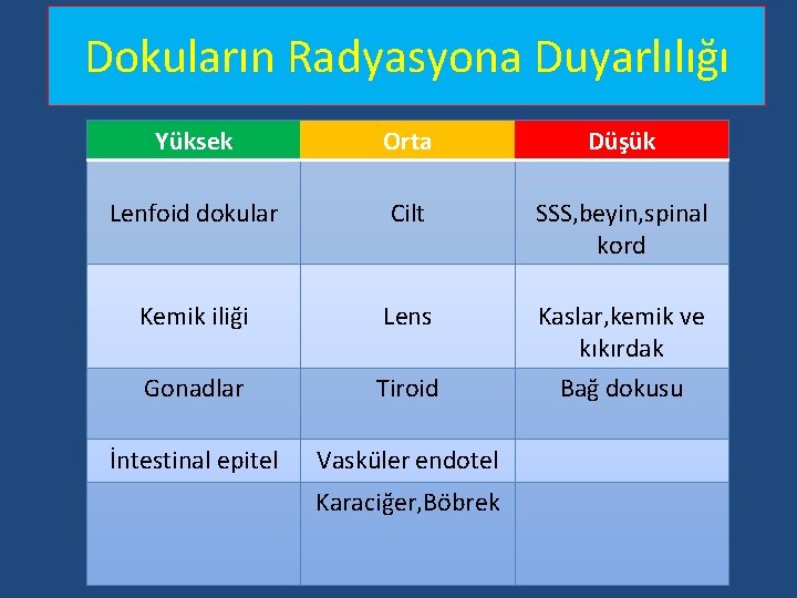 Dokuların Radyasyona Duyarlılığı Yüksek Orta Düşük Lenfoid dokular Cilt SSS, beyin, spinal kord Kemik Dokuların Radyasyona Duyarlılığı Yüksek Orta Düşük Lenfoid dokular Cilt SSS, beyin, spinal kord Kemik