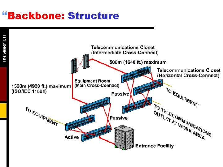 The Saigon CTT }Backbone: Structure 