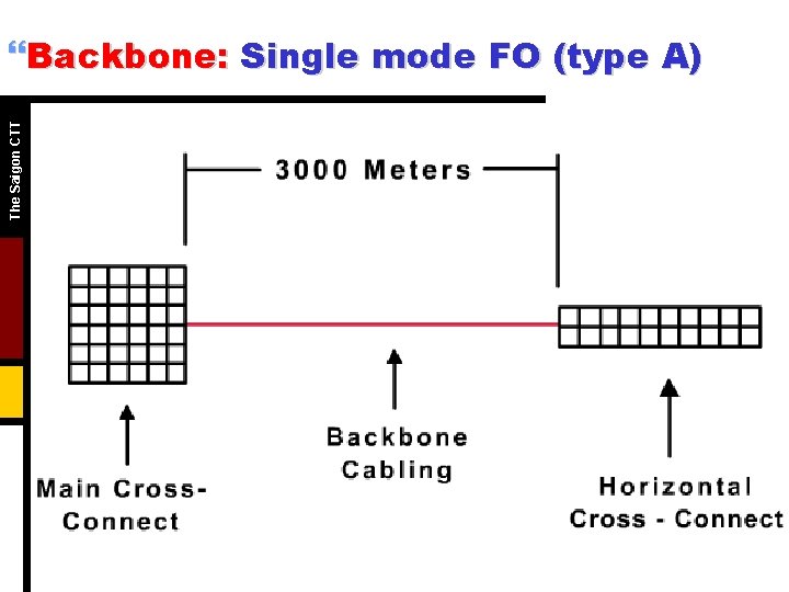 The Saigon CTT }Backbone: Single mode FO (type A) 