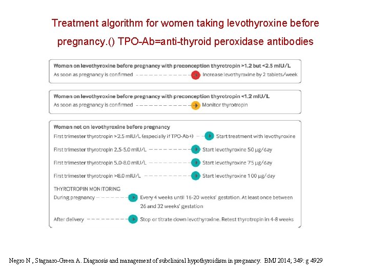 Treatment algorithm for women taking levothyroxine before pregnancy. () TPO-Ab=anti-thyroid peroxidase antibodies Negro N