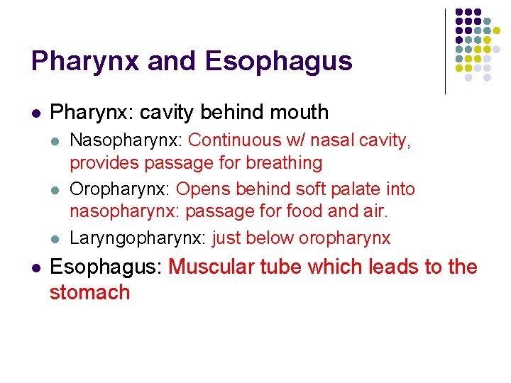 Pharynx and Esophagus l Pharynx: cavity behind mouth l l Nasopharynx: Continuous w/ nasal Pharynx and Esophagus l Pharynx: cavity behind mouth l l Nasopharynx: Continuous w/ nasal