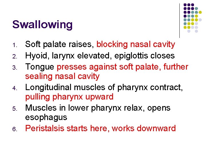 Swallowing 1. 2. 3. 4. 5. 6. Soft palate raises, blocking nasal cavity Hyoid,