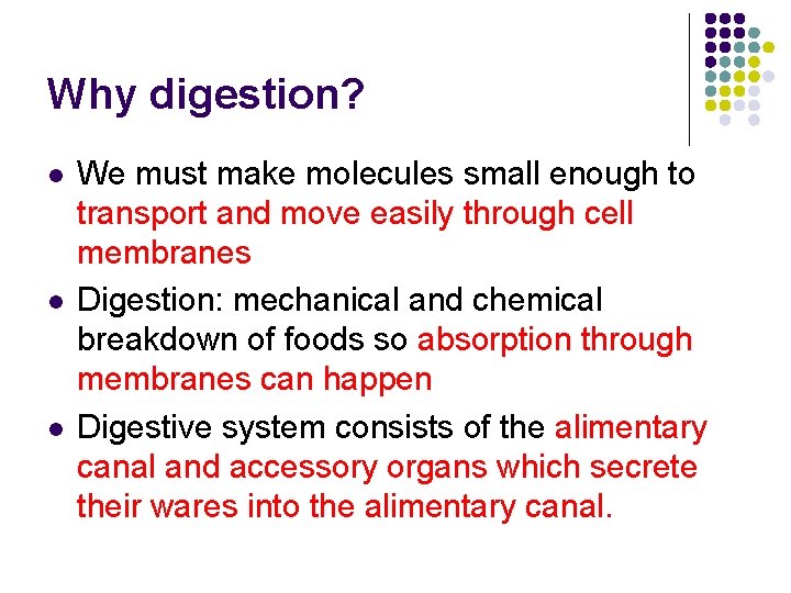 Why digestion? l l l We must make molecules small enough to transport and Why digestion? l l l We must make molecules small enough to transport and