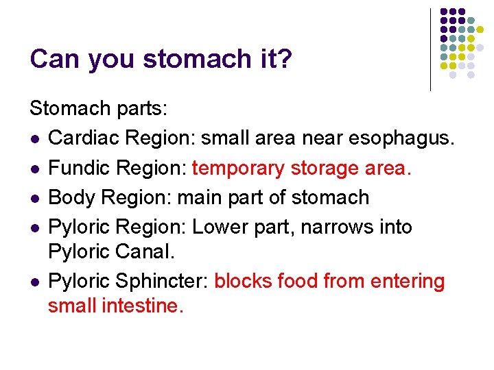 Can you stomach it? Stomach parts: l Cardiac Region: small area near esophagus. l