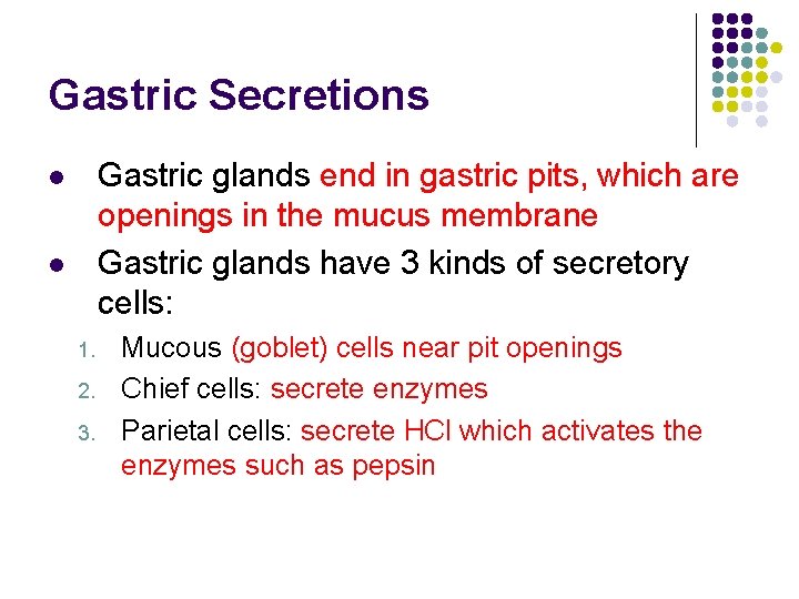 Gastric Secretions Gastric glands end in gastric pits, which are openings in the mucus