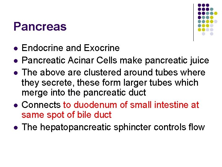 Pancreas l l l Endocrine and Exocrine Pancreatic Acinar Cells make pancreatic juice The Pancreas l l l Endocrine and Exocrine Pancreatic Acinar Cells make pancreatic juice The