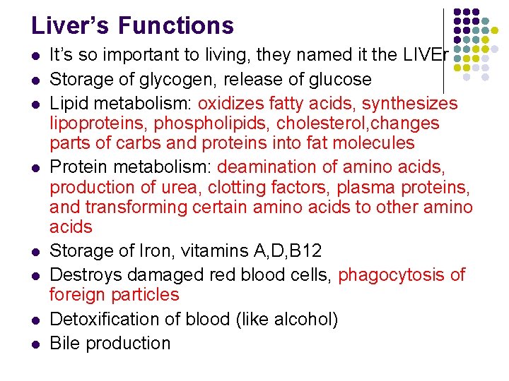 Liver’s Functions l l l l It’s so important to living, they named it