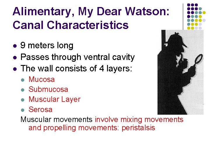 Alimentary, My Dear Watson: Canal Characteristics l l l 9 meters long Passes through Alimentary, My Dear Watson: Canal Characteristics l l l 9 meters long Passes through