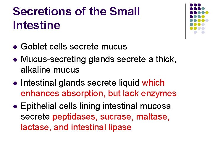 Secretions of the Small Intestine l l Goblet cells secrete mucus Mucus-secreting glands secrete