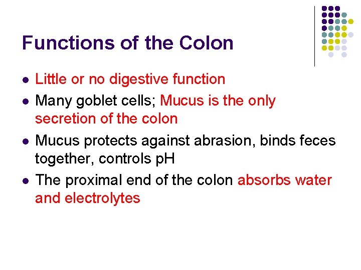 Functions of the Colon l l Little or no digestive function Many goblet cells;