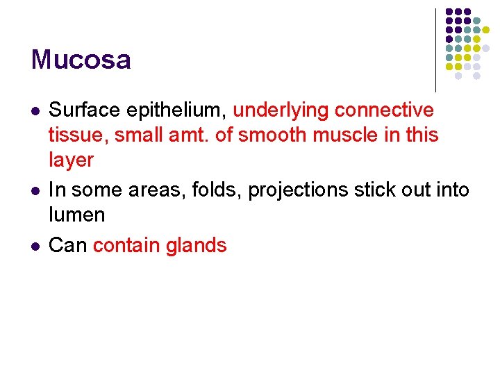 Mucosa l l l Surface epithelium, underlying connective tissue, small amt. of smooth muscle