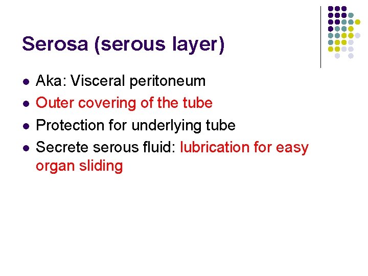 Serosa (serous layer) l l Aka: Visceral peritoneum Outer covering of the tube Protection