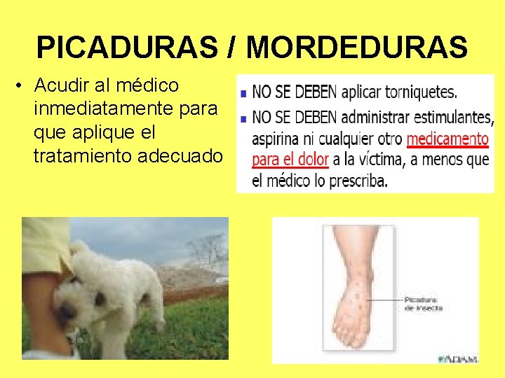 PICADURAS / MORDEDURAS • Acudir al médico inmediatamente para que aplique el tratamiento adecuado