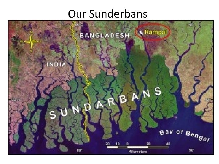 Our Sunderbans 