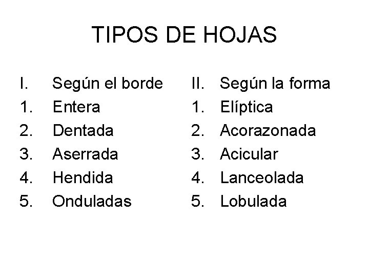 TIPOS DE HOJAS I. 1. 2. 3. 4. 5. Según el borde Entera Dentada