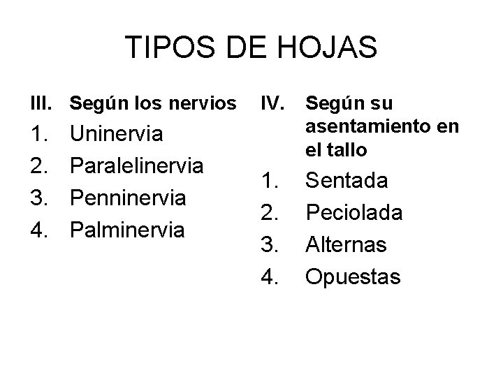 TIPOS DE HOJAS III. Según los nervios 1. 2. 3. 4. Uninervia Paralelinervia Penninervia