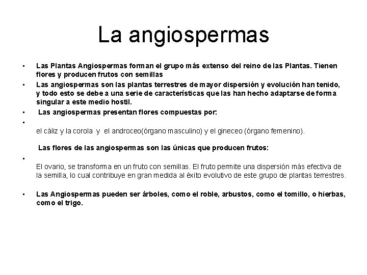 La angiospermas • • Las Plantas Angiospermas forman el grupo más extenso del reino