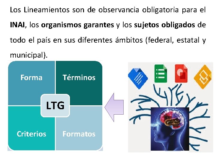 Los Lineamientos son de observancia obligatoria para el INAI, los organismos garantes y los