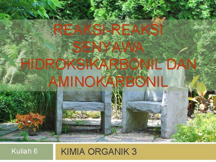 REAKSI-REAKSI SENYAWA HIDROKSIKARBONIL DAN AMINOKARBONIL Kuliah 6 KIMIA ORGANIK 3 