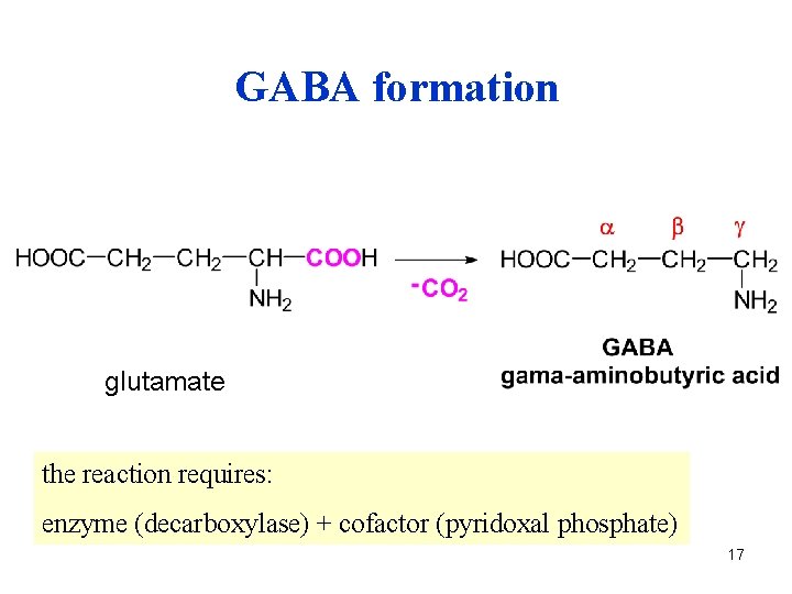 GABA formation glutamate the reaction requires: enzyme (decarboxylase) + cofactor (pyridoxal phosphate) 17 