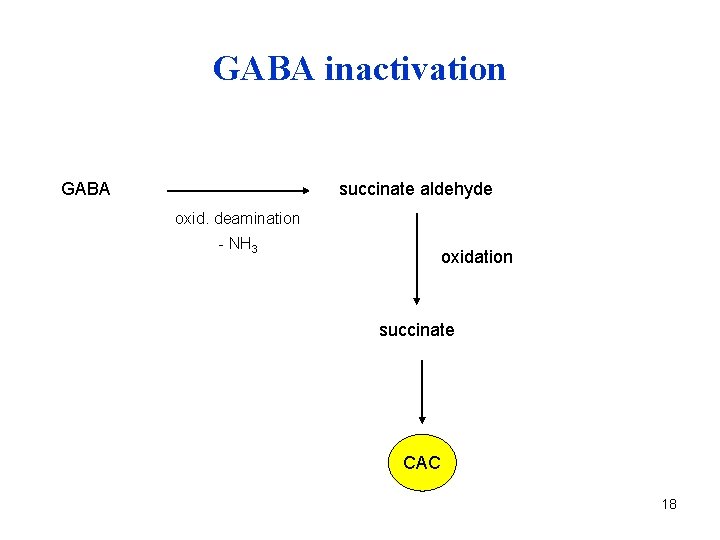 GABA inactivation GABA succinate aldehyde oxid. deamination - NH 3 oxidation succinate CAC 18