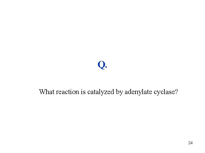 Q. What reaction is catalyzed by adenylate cyclase? 24 