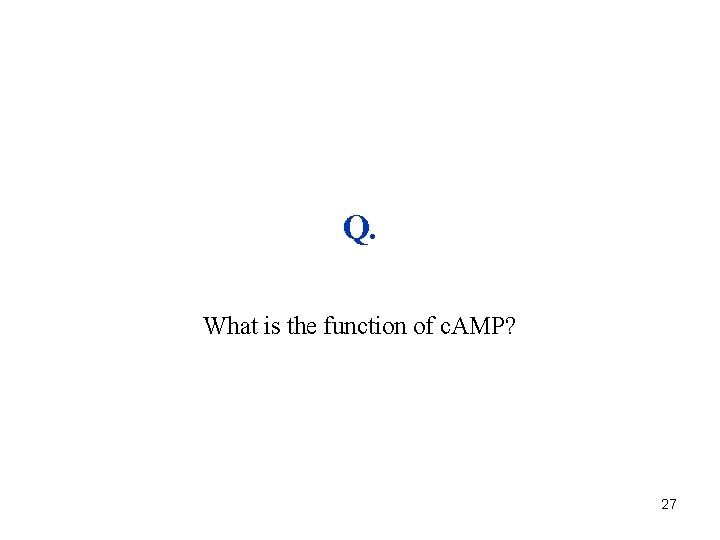 Q. What is the function of c. AMP? 27 