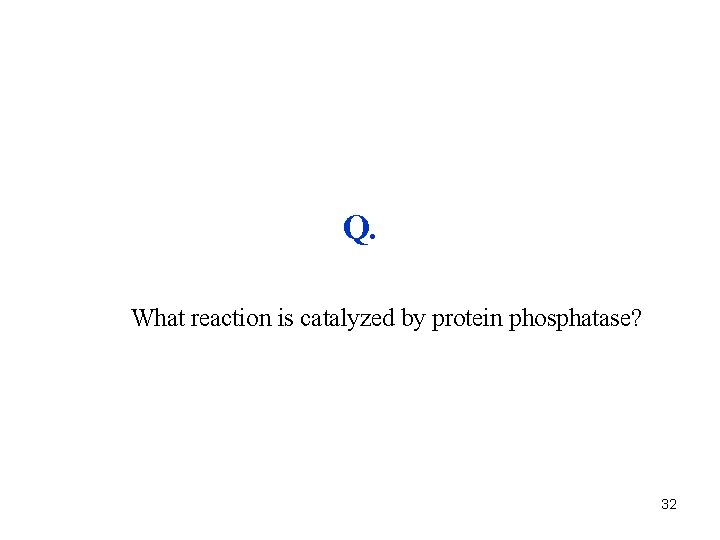 Q. What reaction is catalyzed by protein phosphatase? 32 