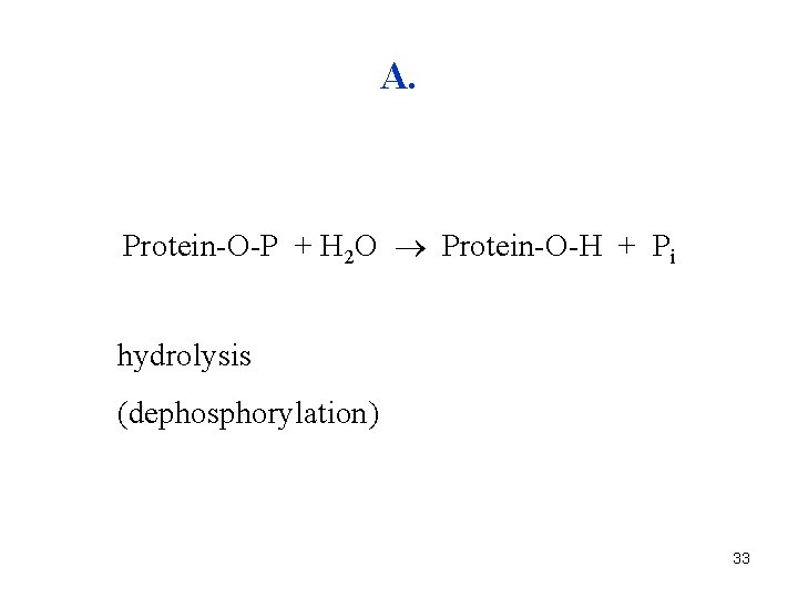 A. Protein-O-P + H 2 O Protein-O-H + Pi hydrolysis (dephosphorylation) 33 