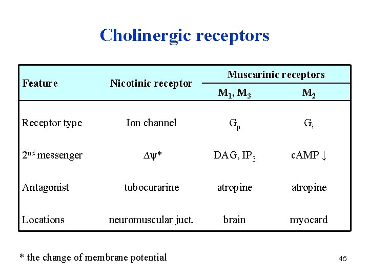 Cholinergic receptors Feature Nicotinic receptor Muscarinic receptors M 1, M 3 M 2 Receptor