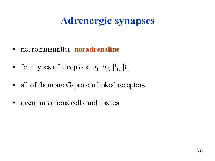 Adrenergic synapses • neurotransmitter: noradrenaline • four types of receptors: α 1, α 2,