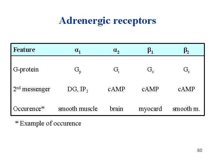 Adrenergic receptors Feature α 1 α 2 β 1 β 2 G-protein Gp Gi