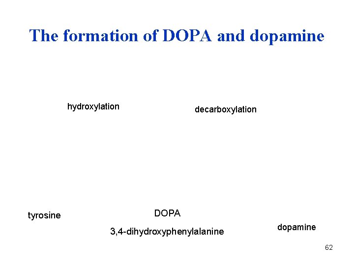 The formation of DOPA and dopamine hydroxylation tyrosine decarboxylation DOPA 3, 4 -dihydroxyphenylalanine dopamine