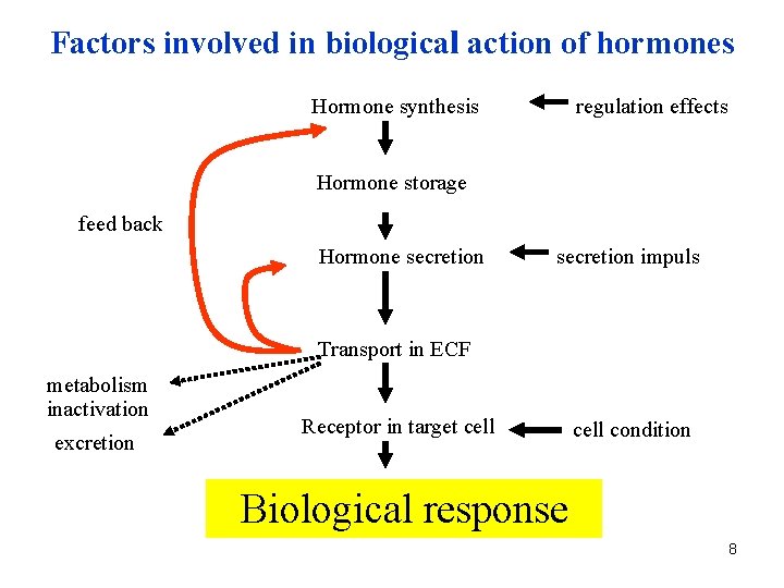 Factors involved in biological action of hormones Hormone synthesis regulation effects Hormone storage feed