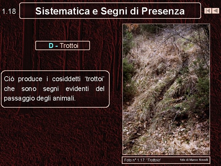 1. 18 Sistematica e Segni di Presenza D - Trottoi Ciò produce i cosiddetti