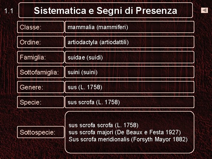 1. 1 Sistematica e Segni di Presenza Classe: mammalia (mammiferi) Ordine: artiodactyla (artiodattili) Famiglia: