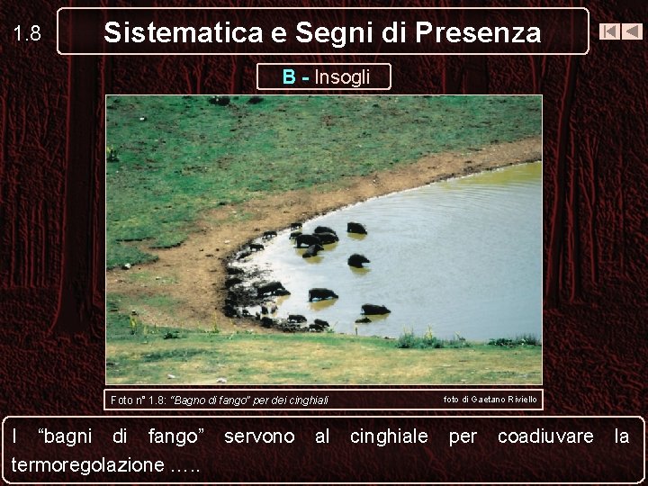 1. 8 Sistematica e Segni di Presenza B - Insogli foto di Gaetano Riviello