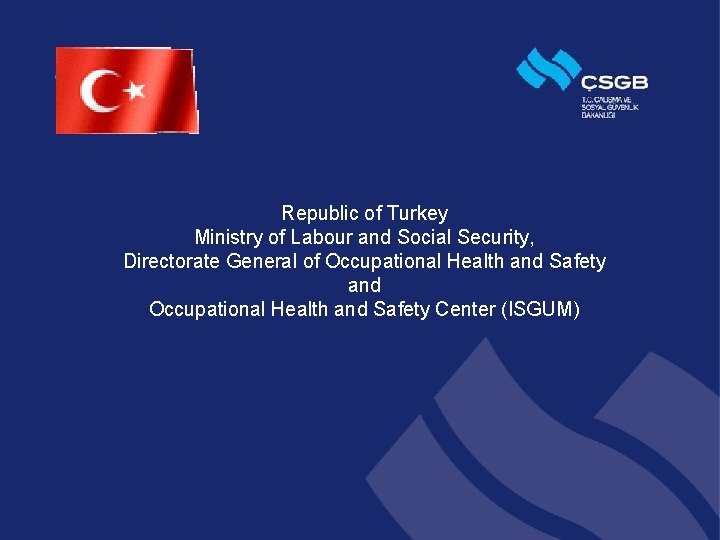 Republic of Turkey Ministry of Labour and Social Security, Directorate General of Occupational Health