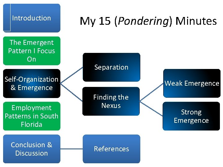 Introduction The Emergent Pattern I Focus On My 15 (Pondering) Minutes Separation Self-Organization &