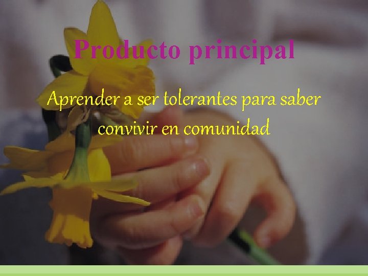 Producto principal Aprender a ser tolerantes para saber convivir en comunidad 