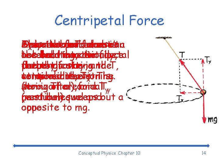 Centripetal Force Txconical A Only The Since isvector two thenet forces pendulum bob T