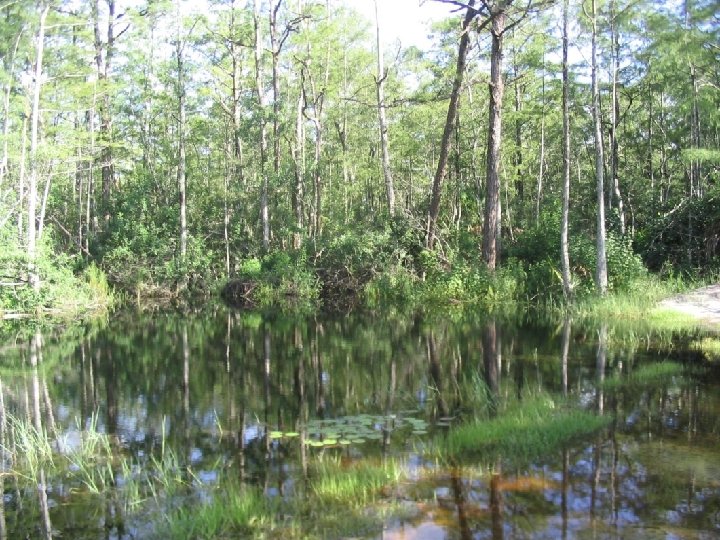 Why do we live “out” here? Why do we live “out” here?