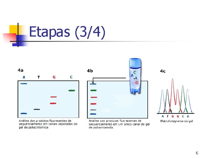 Etapas (3/4) 6 