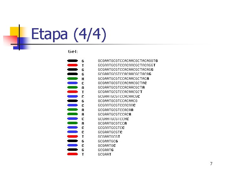 Etapa (4/4) 7 