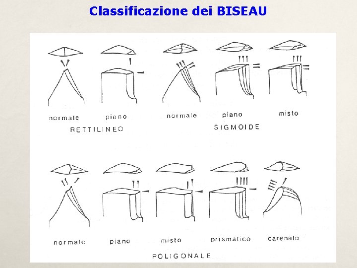 Classificazione dei BISEAU 