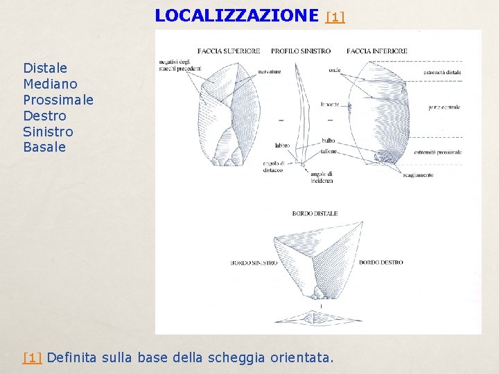 LOCALIZZAZIONE [1] Distale Mediano Prossimale Destro Sinistro Basale [1] Definita sulla base della scheggia