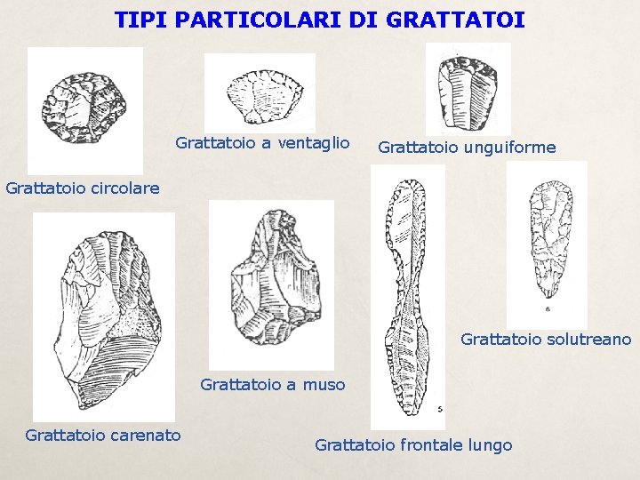 TIPI PARTICOLARI DI GRATTATOI Grattatoio a ventaglio Grattatoio unguiforme Grattatoio circolare Grattatoio solutreano Grattatoio