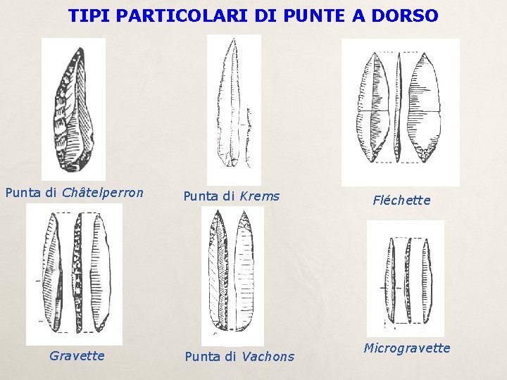 TIPI PARTICOLARI DI PUNTE A DORSO Punta di Châtelperron Gravette Punta di Krems Punta