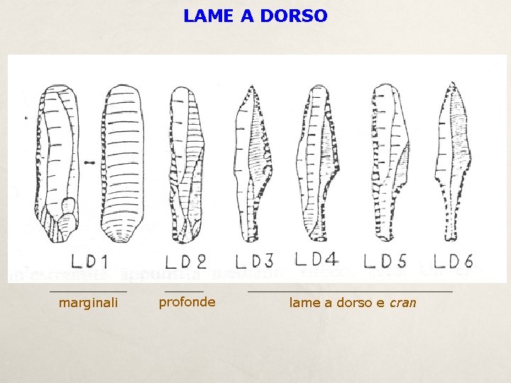 LAME A DORSO marginali profonde lame a dorso e cran 